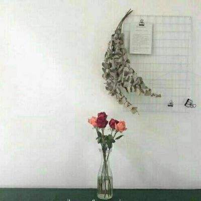 格斗刀魂360手游下载